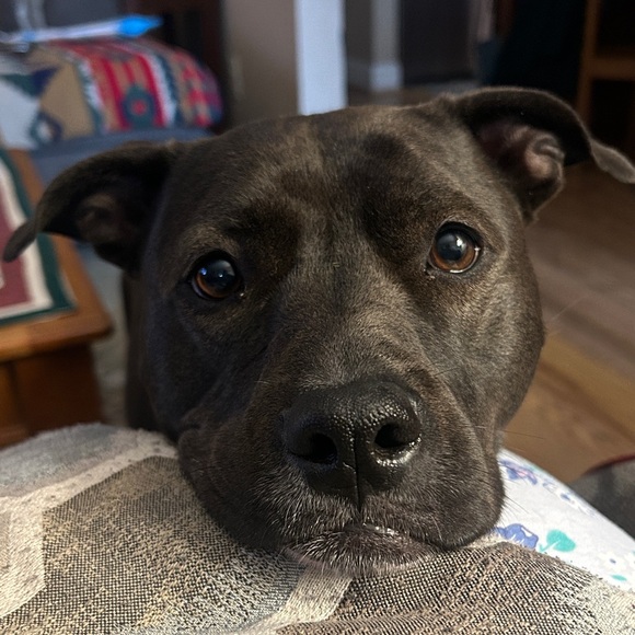 COOKIEMOMLYNN IS LIVE ! πͺ - Picture 4 of 4